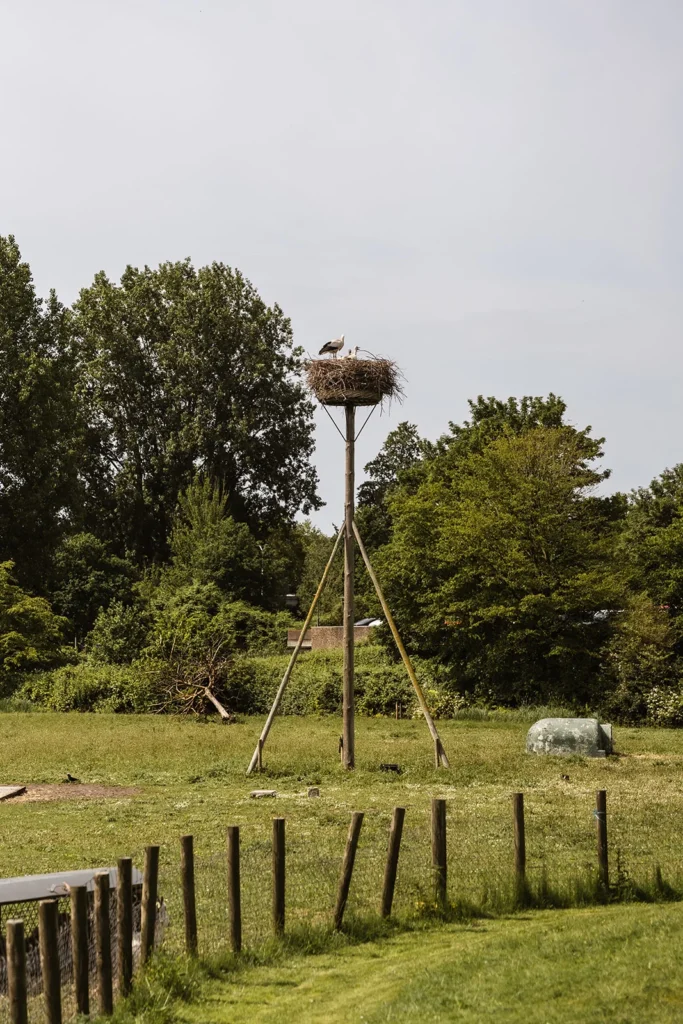 Gezellig eten met een groep Voorburg